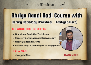 Bhrigu Nandi Nadi Course [Hindi]