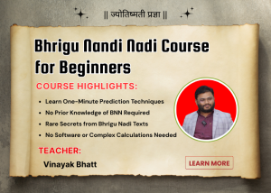 Bhrigu Nandi Nadi Course for Beginners [Hindi]
