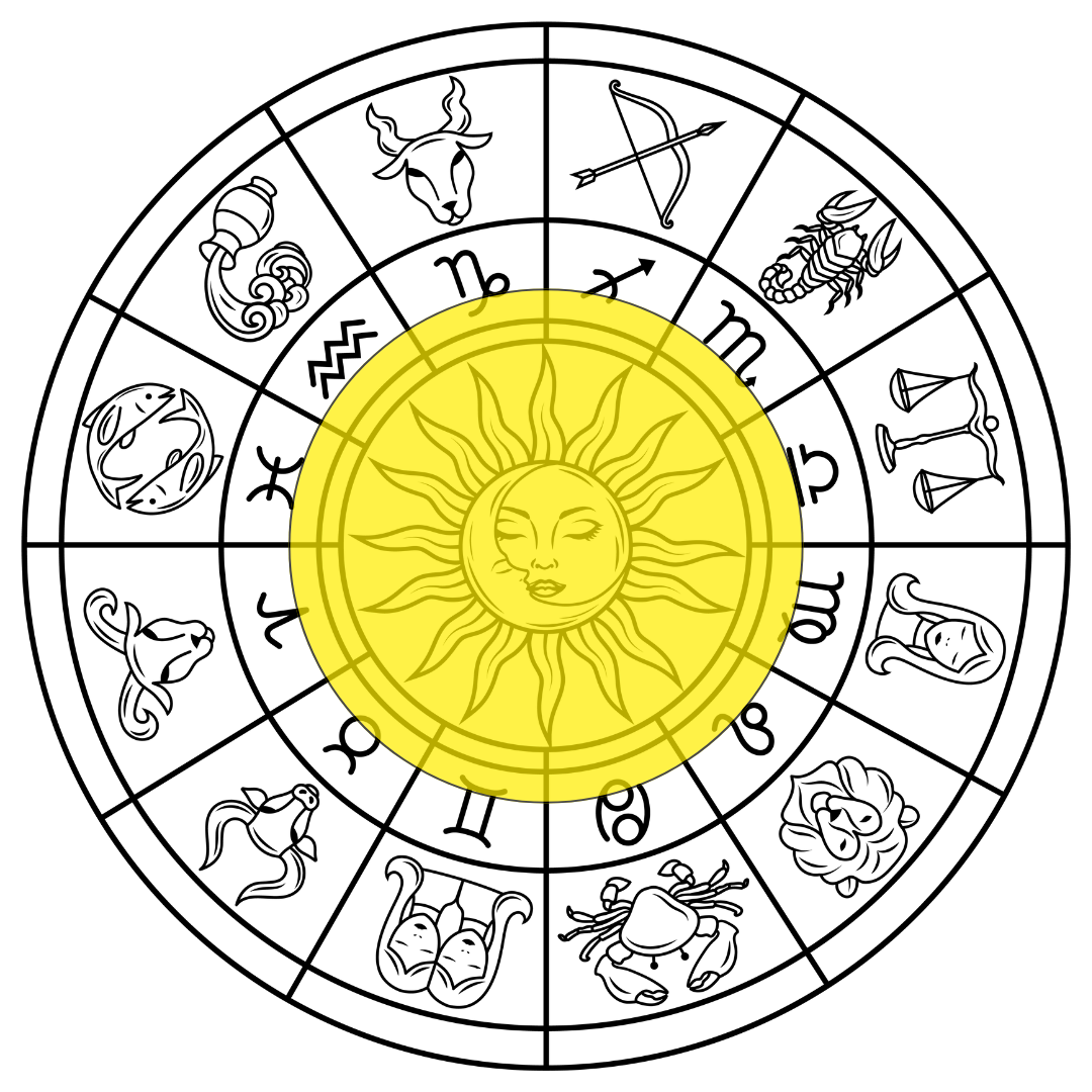 Vedic Astrology Visual