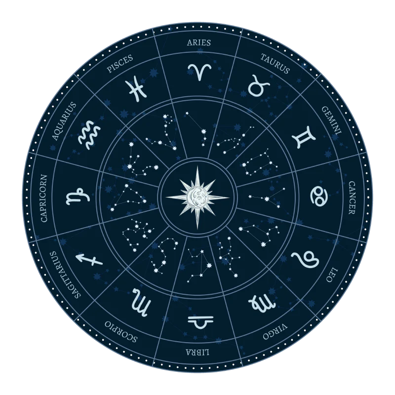 Vedic Astrology Visual