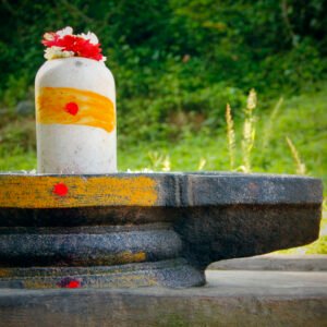 Sapta Nadī Jal Rudrābhiṣek