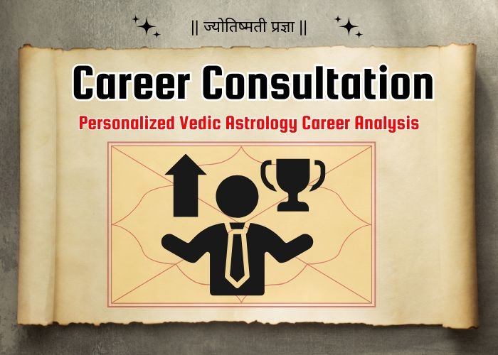 Career Astrology Consultation