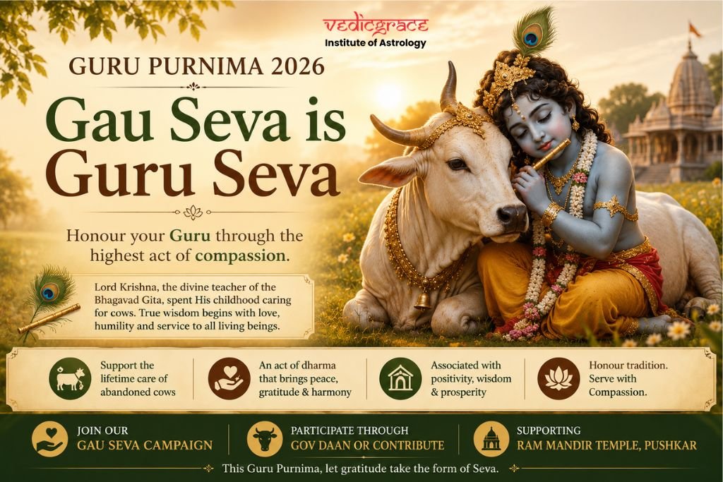 Guru Purnima 2026: Why Gau Seva Is Considered Guru Seva in the Indian Tradition