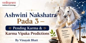 Ashwini Nakshatra Pada 3 – Pending Karma & Karma Vipaka Predictions By Vinayak Bhatt