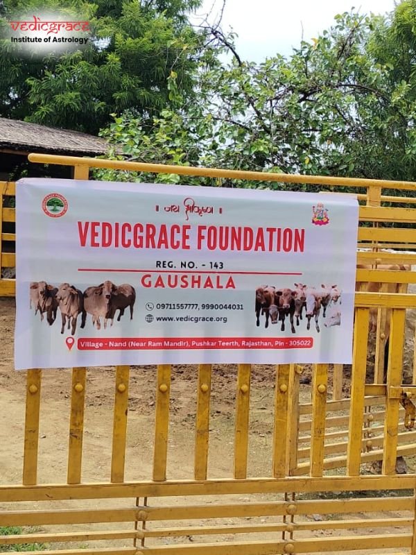Gau Grass Daan